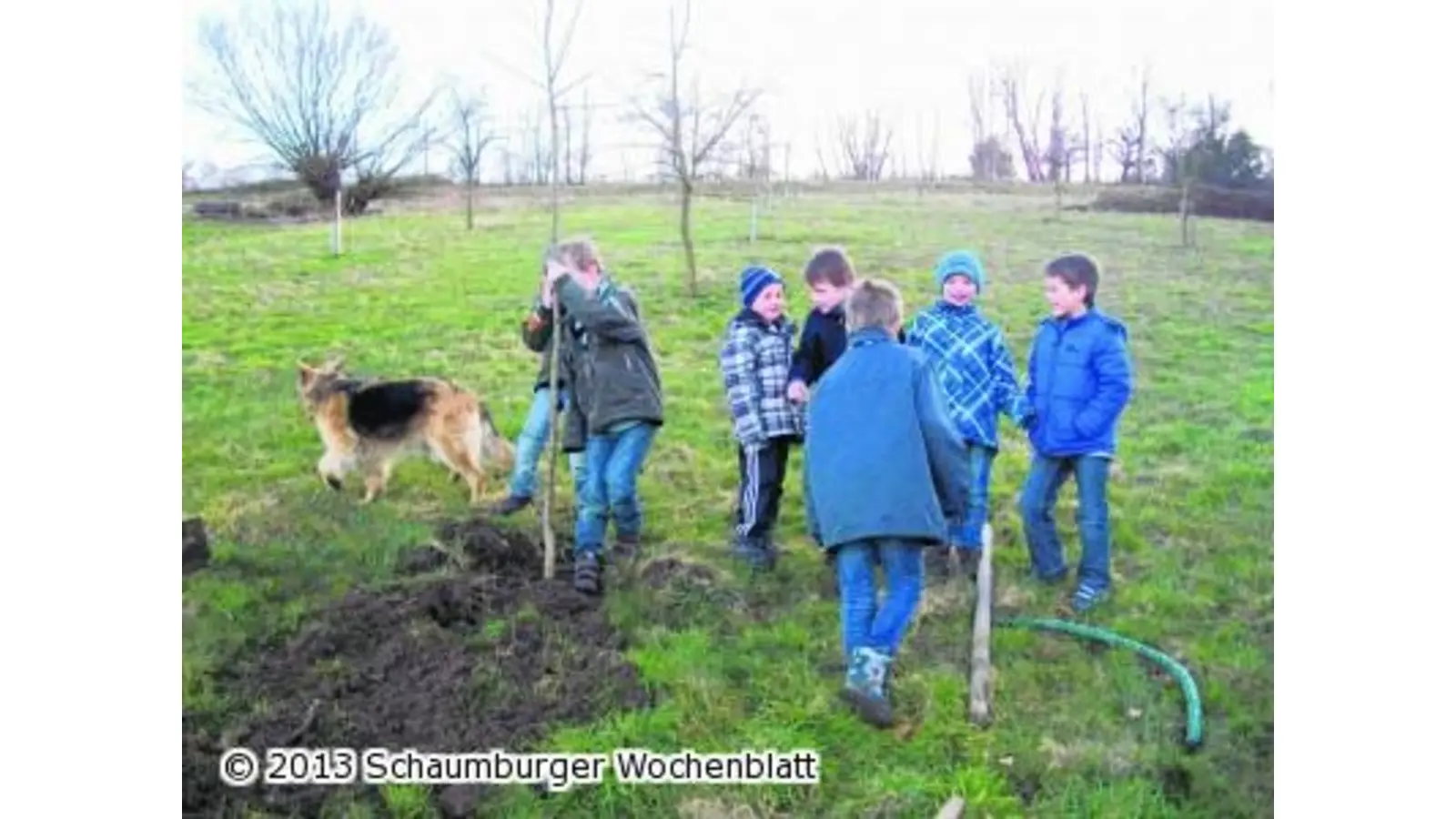 Zuwachs auf der NABU Streuobstwiese (Foto: em)