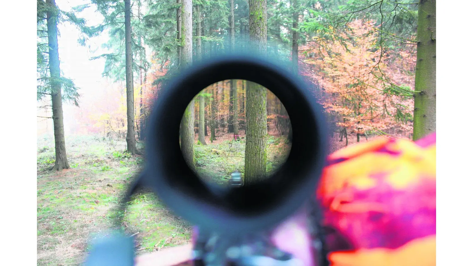 Illegale Geschäfte bei Hamelner Sportschützen (Foto: tr)