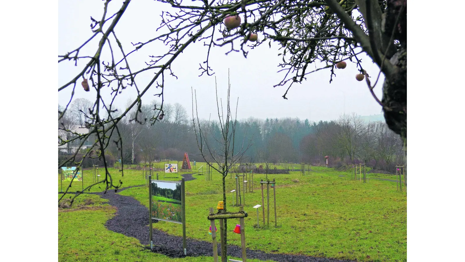 Es fehlt ein Hinweis auf die Obstwiese (Foto: al)
