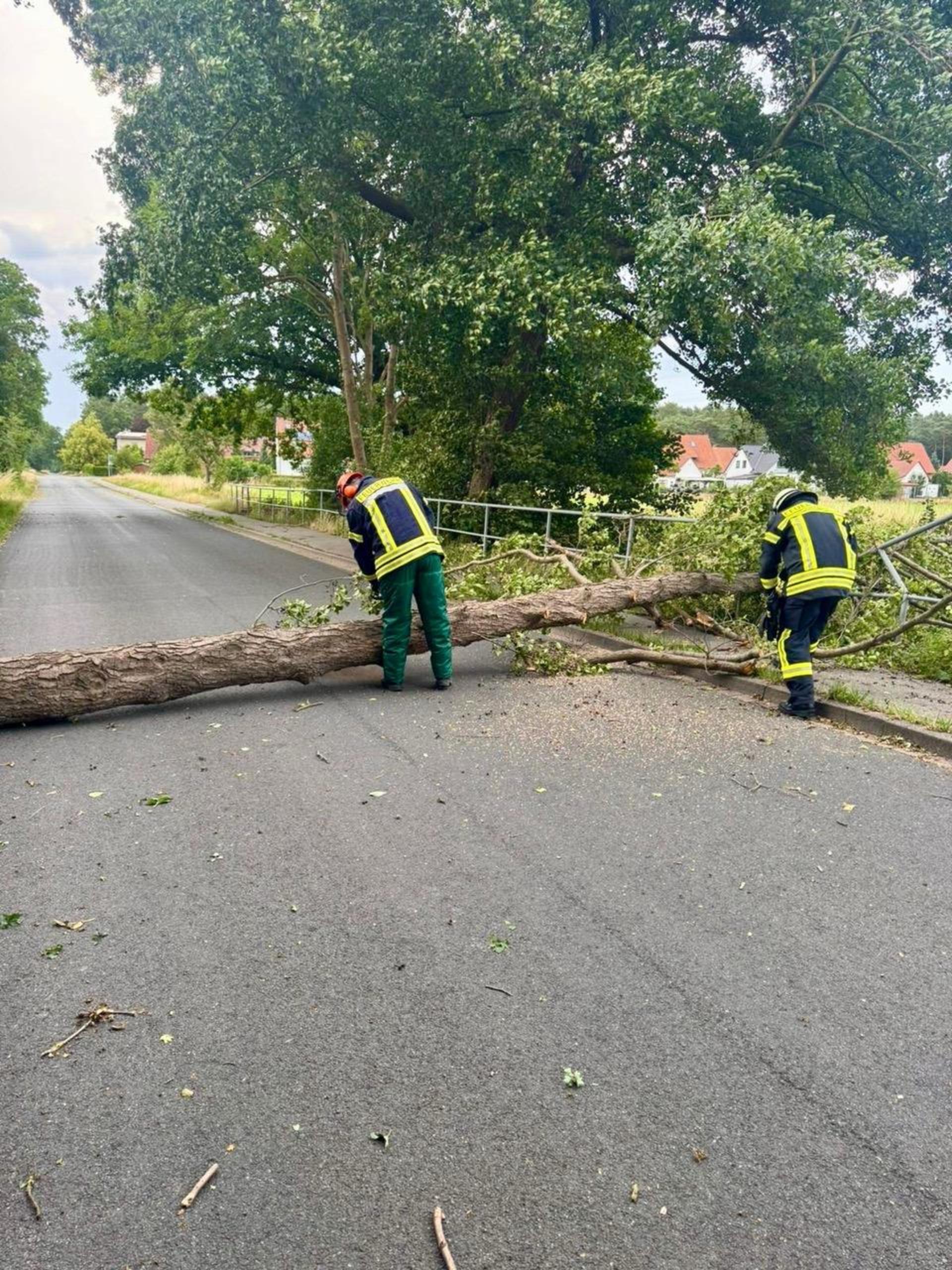 Waldstraße in Großenheidorn: Die Feuerwehr beseitigt einen umgefallenen Baum. (Foto: Feuerwehr)