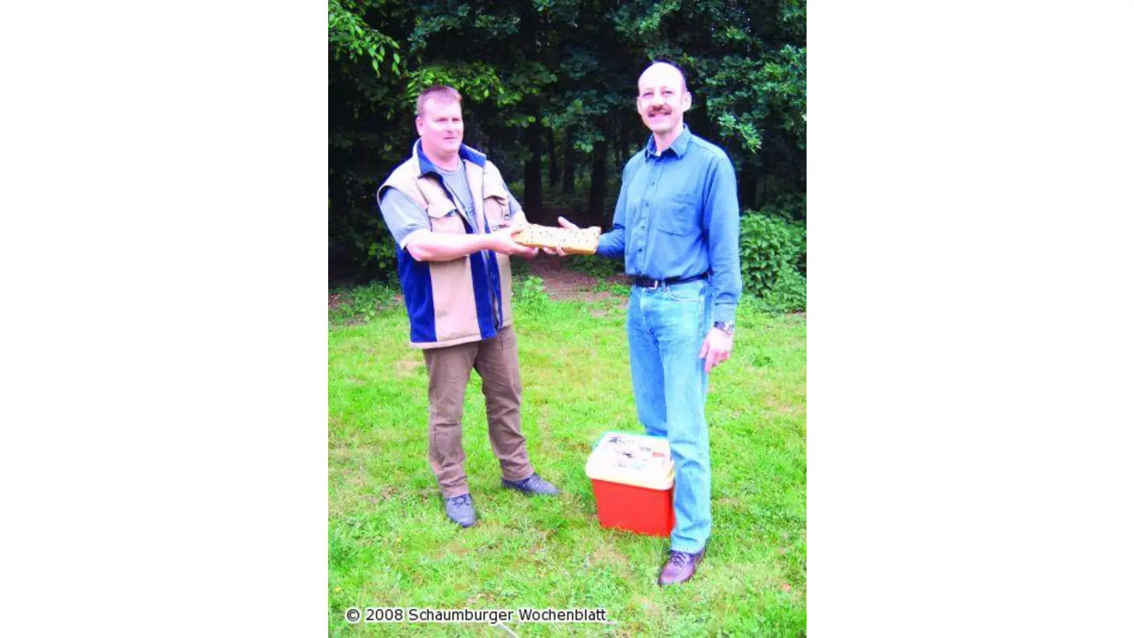 Gutes für Jungvögel (Foto: red)