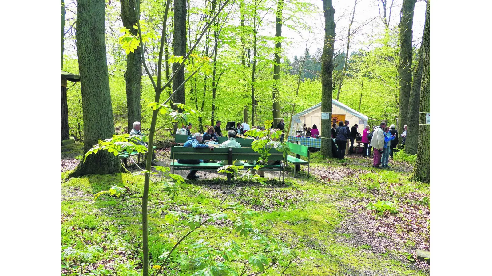 Viele Leute wollen ins Schloss und in den Berg (Foto: red)