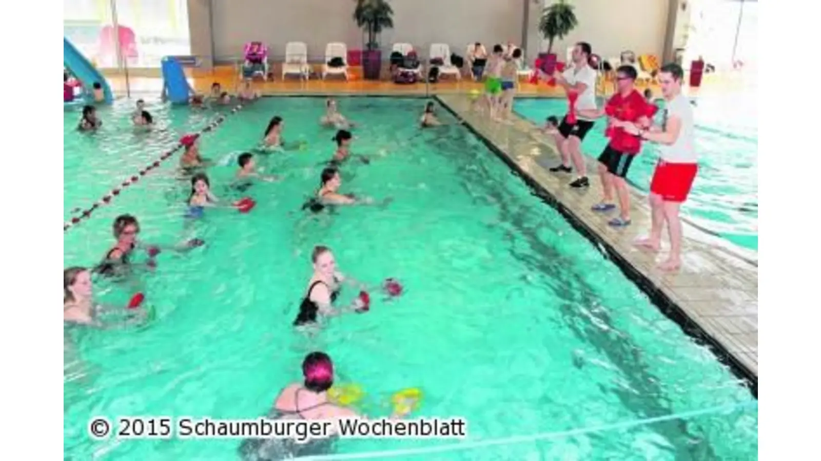 Einmal mit Riesenhunden schwimmen (Foto: jl)