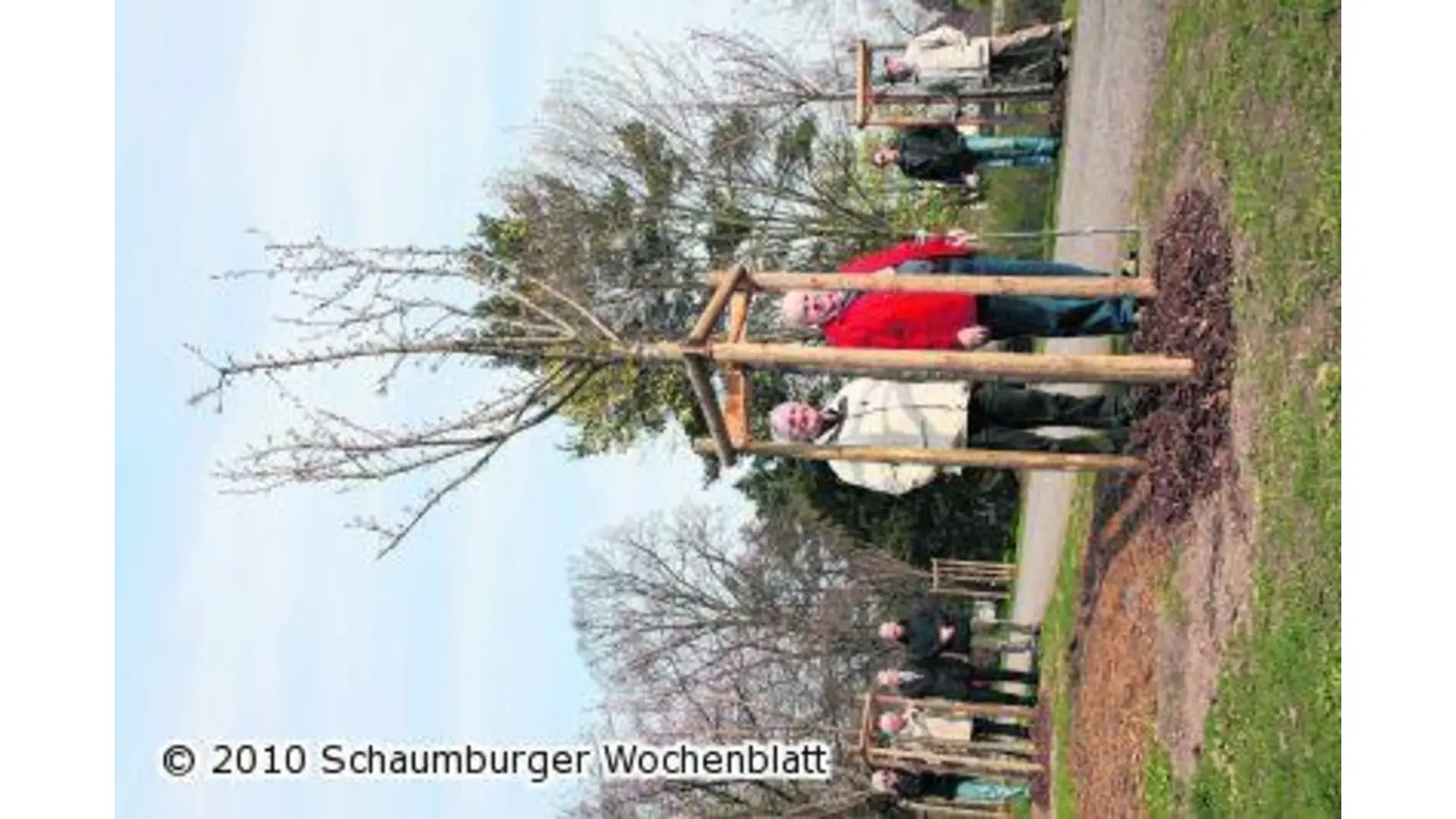 Kirschen zum Anschauen (Foto: mr)
