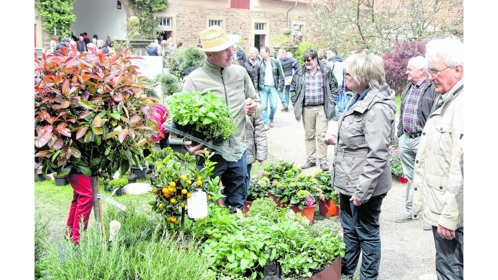 Besonderes in Hülle und Fülle (Foto: red)
