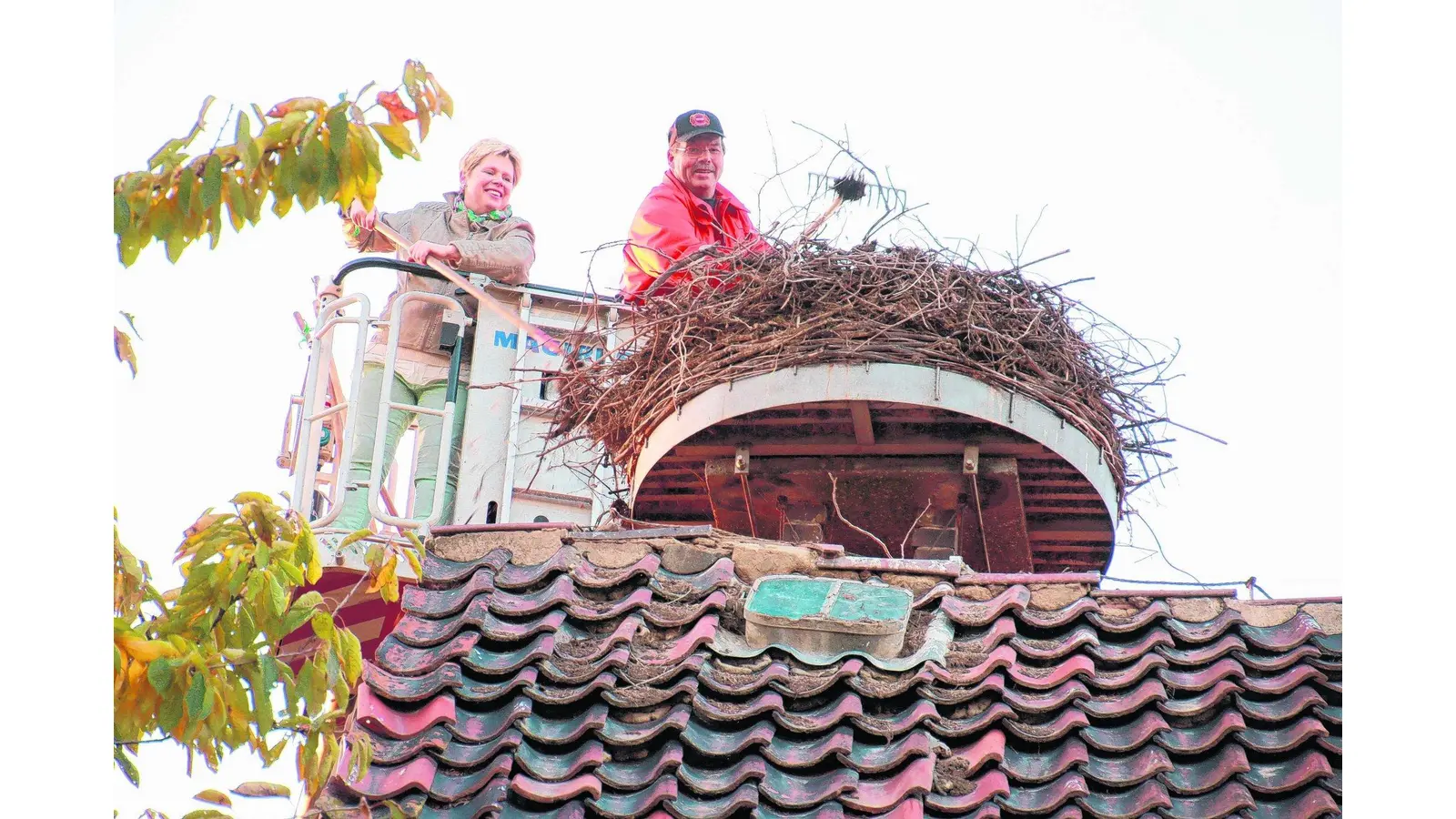 Storchennest wieder in Form (Foto: gi)