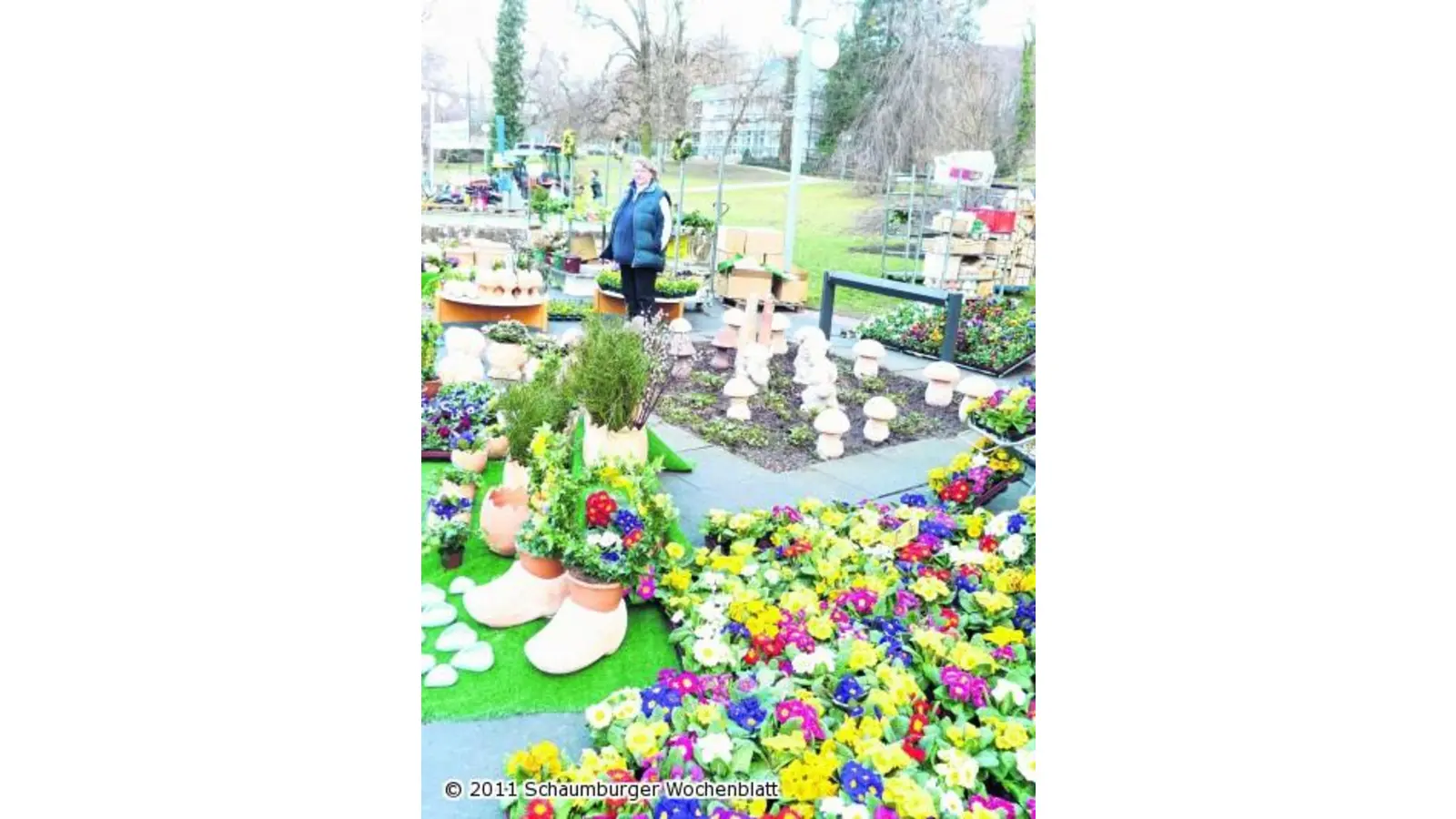 Florale Impressionen (Foto: red)