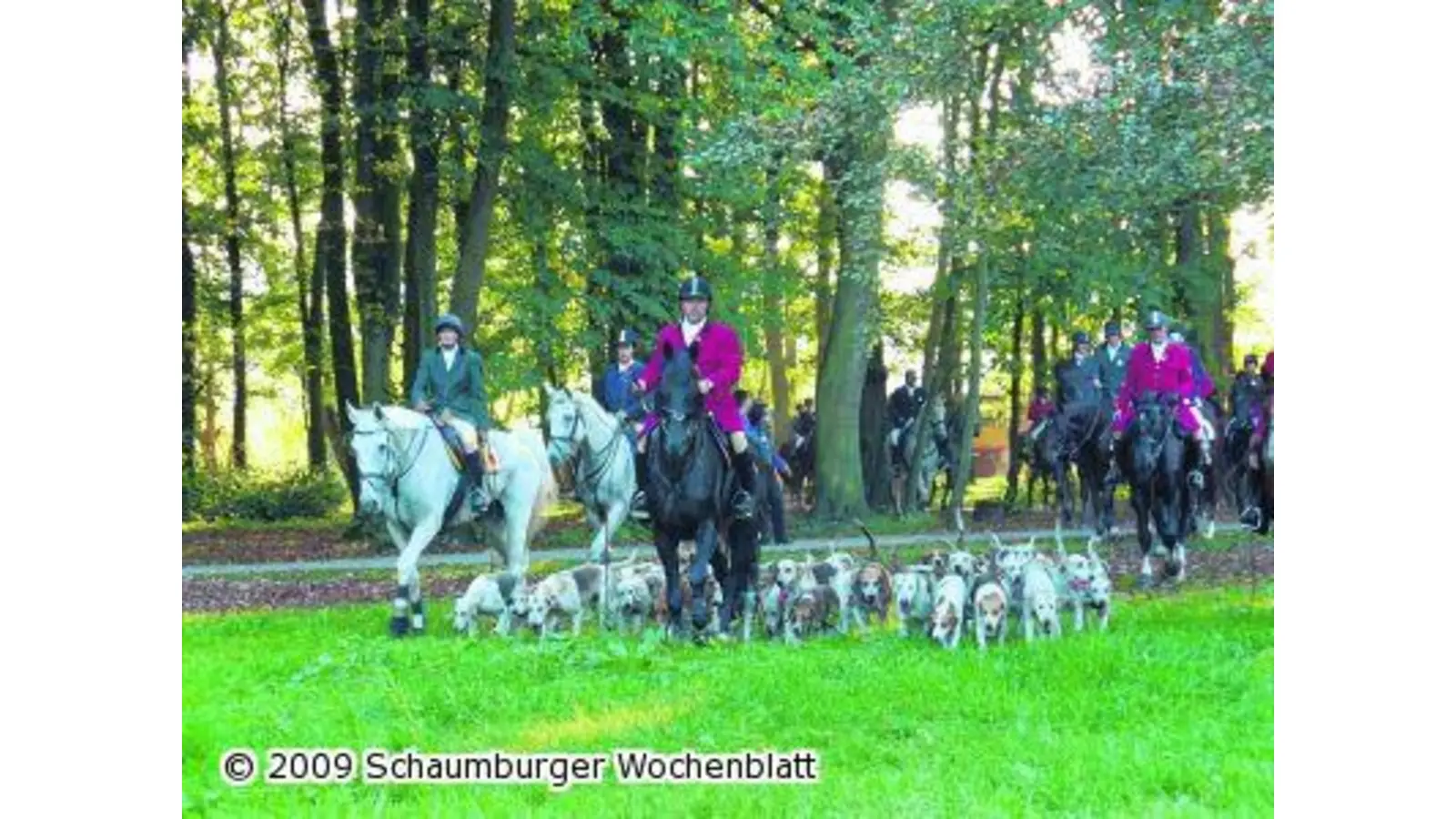 Schleppjagd hinter der Harrier Meute (Foto: hb)