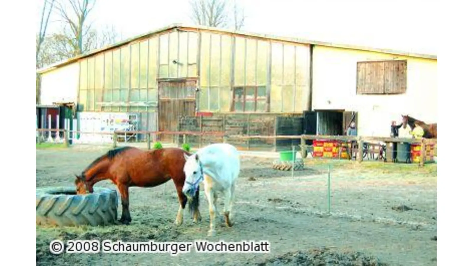 Sanierung der Reithalle bis Ende Mai (Foto: ste)