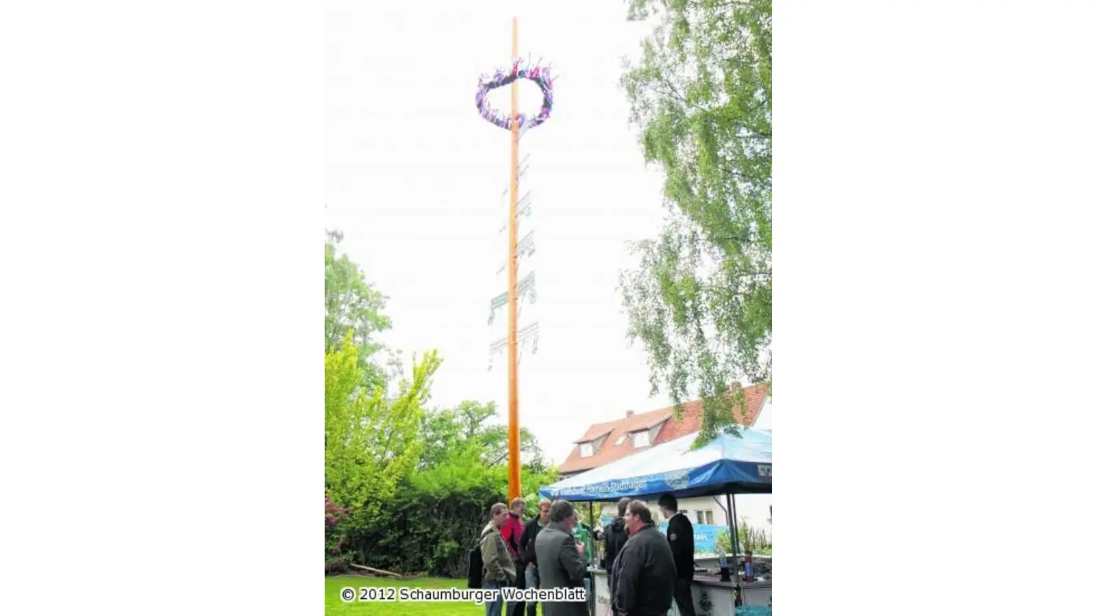 Robuste Douglasie soll Wind trotzen (Foto: bb)