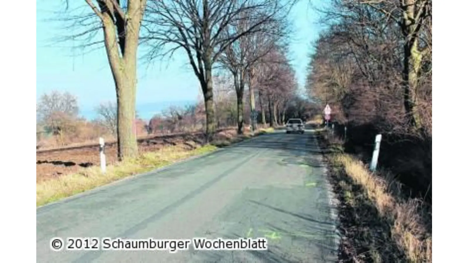 Ausbau der Landesstraße 439 beginnt mit Baumfällarbeiten (Foto: us)