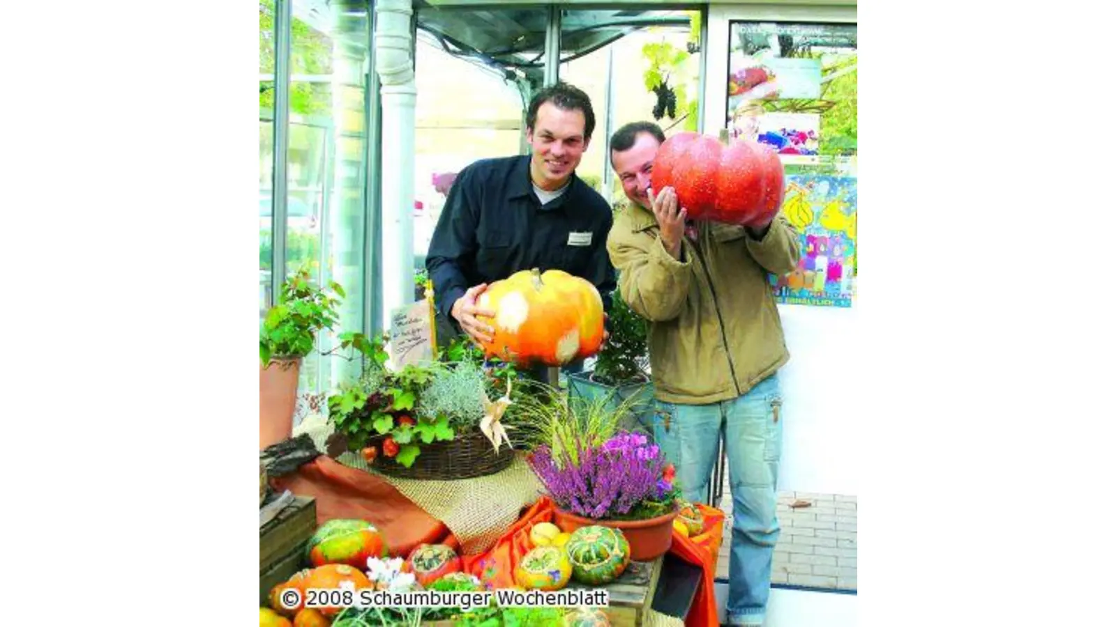 Gruseliges aus der Schattenwelt (Foto: hb)