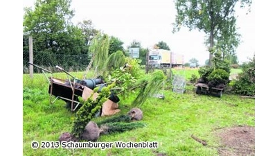 Unbekannte stehlen rund 100 Pflanzen (Foto: bb)