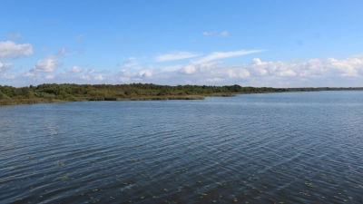 Hat mit Schlamm zu kämpfen: Steinhuder Meer mit Blick ins Naturschutzgebiet bei Mardorf. (Foto: wb)