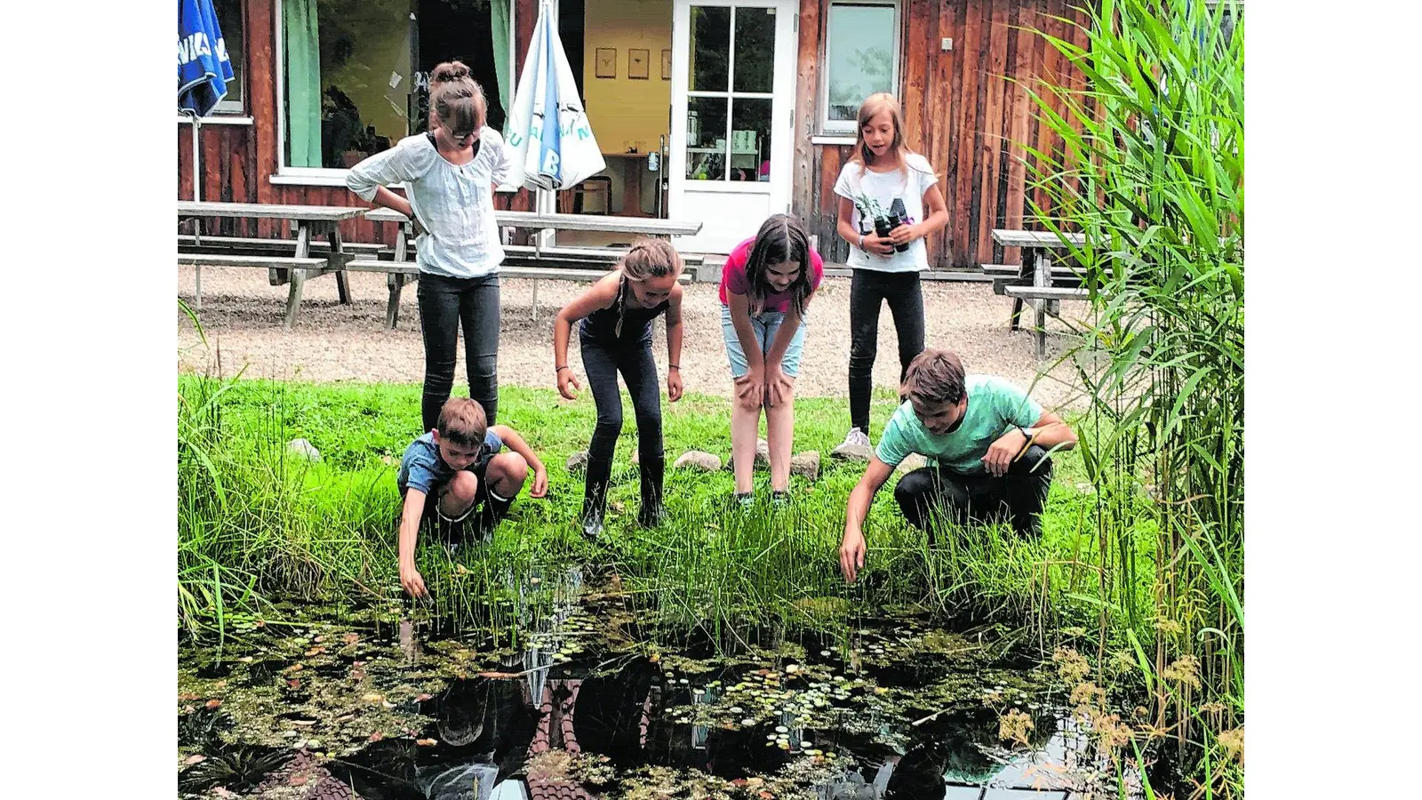 Große Entdeckungstour auf NABU Gut Sunder (Foto: ste)