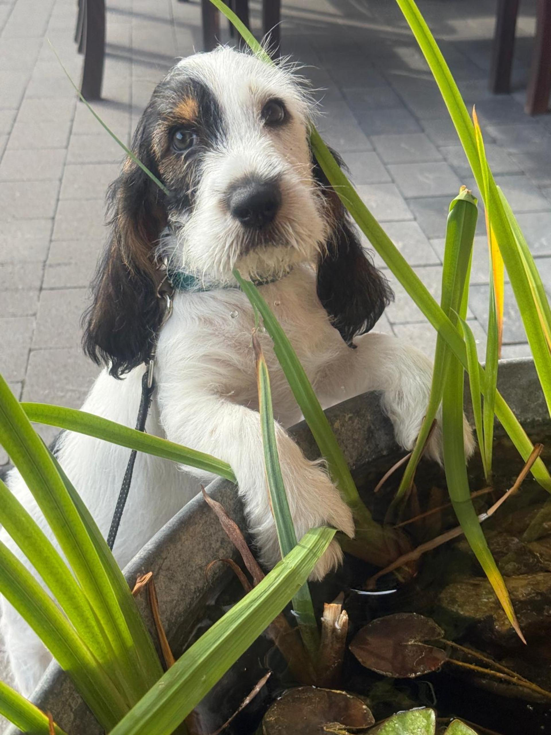 . (Foto: privat)