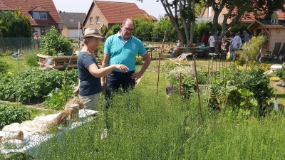 Gelungener Flachsanbau in den Bürgergärten. (Foto: gk)