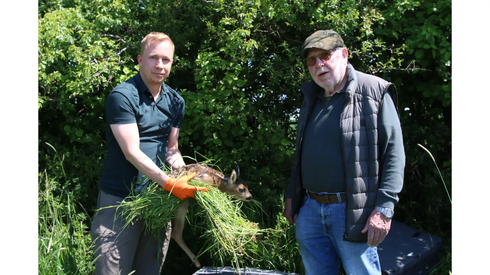 Drohnenpilot und Jäger Tim Ustrabowski (Hegering 10, Hessisch Oldendorf) und Jäger Waldemar Zauder (re.) entlassen die geretteten Rehkitze wieder in die Freiheit. (Foto: bb)