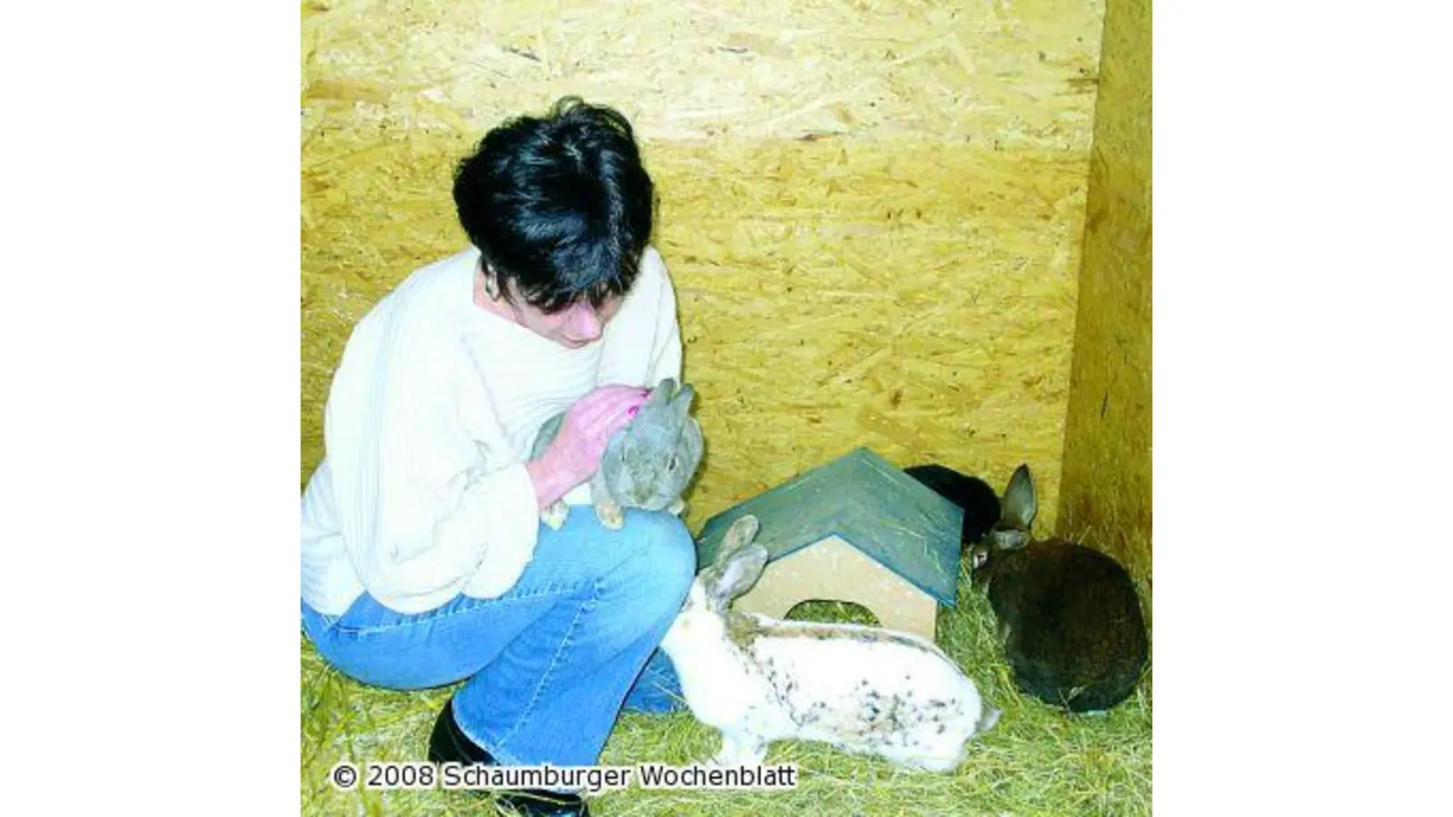 Tierschützer wollen Außenanlage befestigen (Foto: hb)