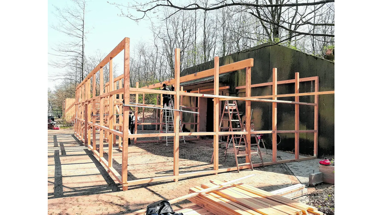Wildtierstation besiedelt Voliere (Foto: cs)