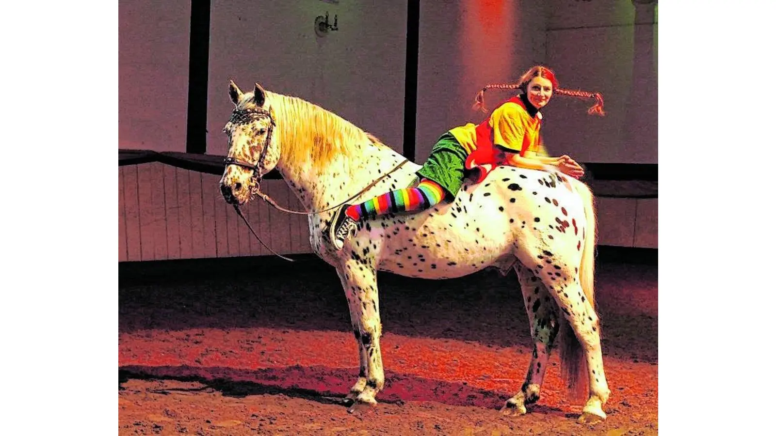 Fantasiegeschichten und märchenhafte Erzählungen (Foto: jh)