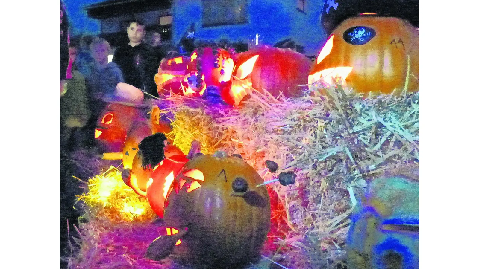 Ein Kürbis trägt sogar ein Krönchen (Foto: al)