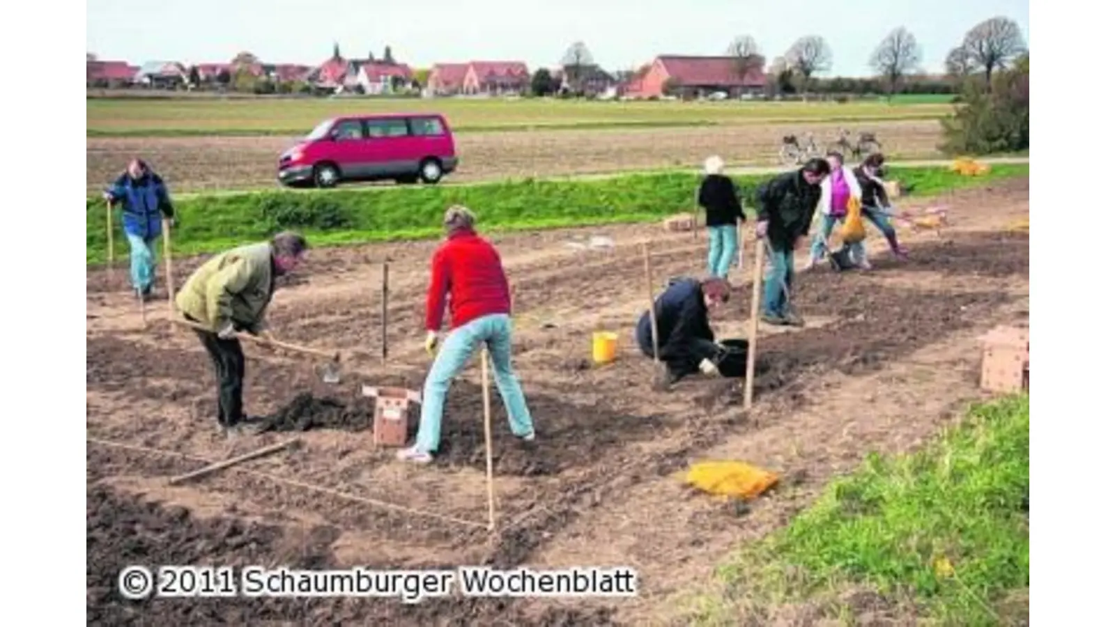 Die Bürgermeister sind in bunten Tulpen aufgewogen (Foto: em)