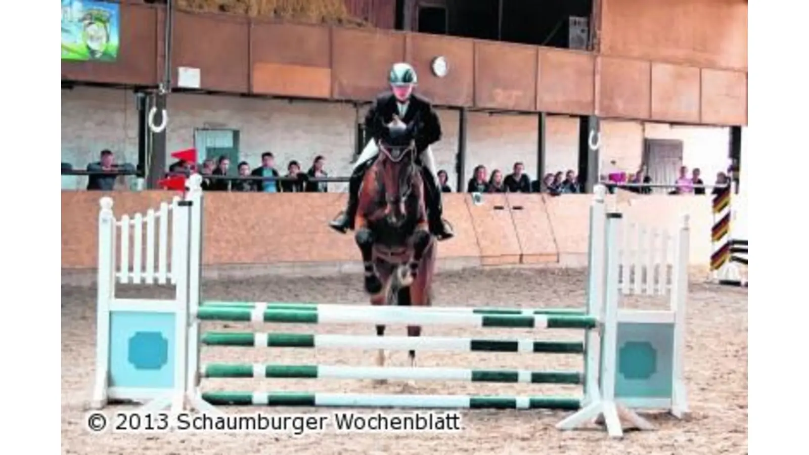 Gute Platzierungen für die Schaumburger Reiter (Foto: ste)