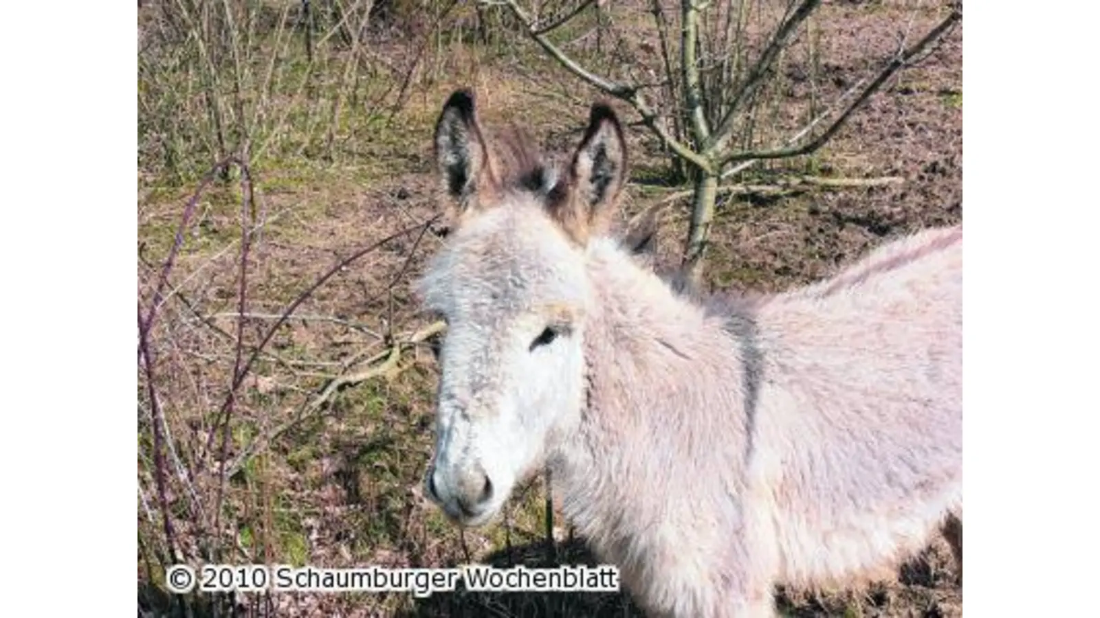 Wildtierstation startet in die Saison (Foto: em)