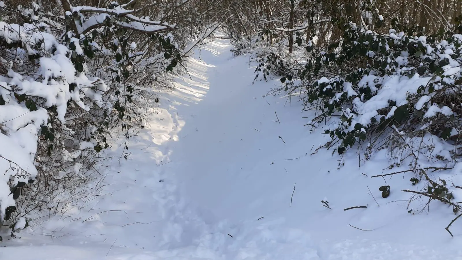 Es wird neuer Schnee erwartet. (Foto: nd)
