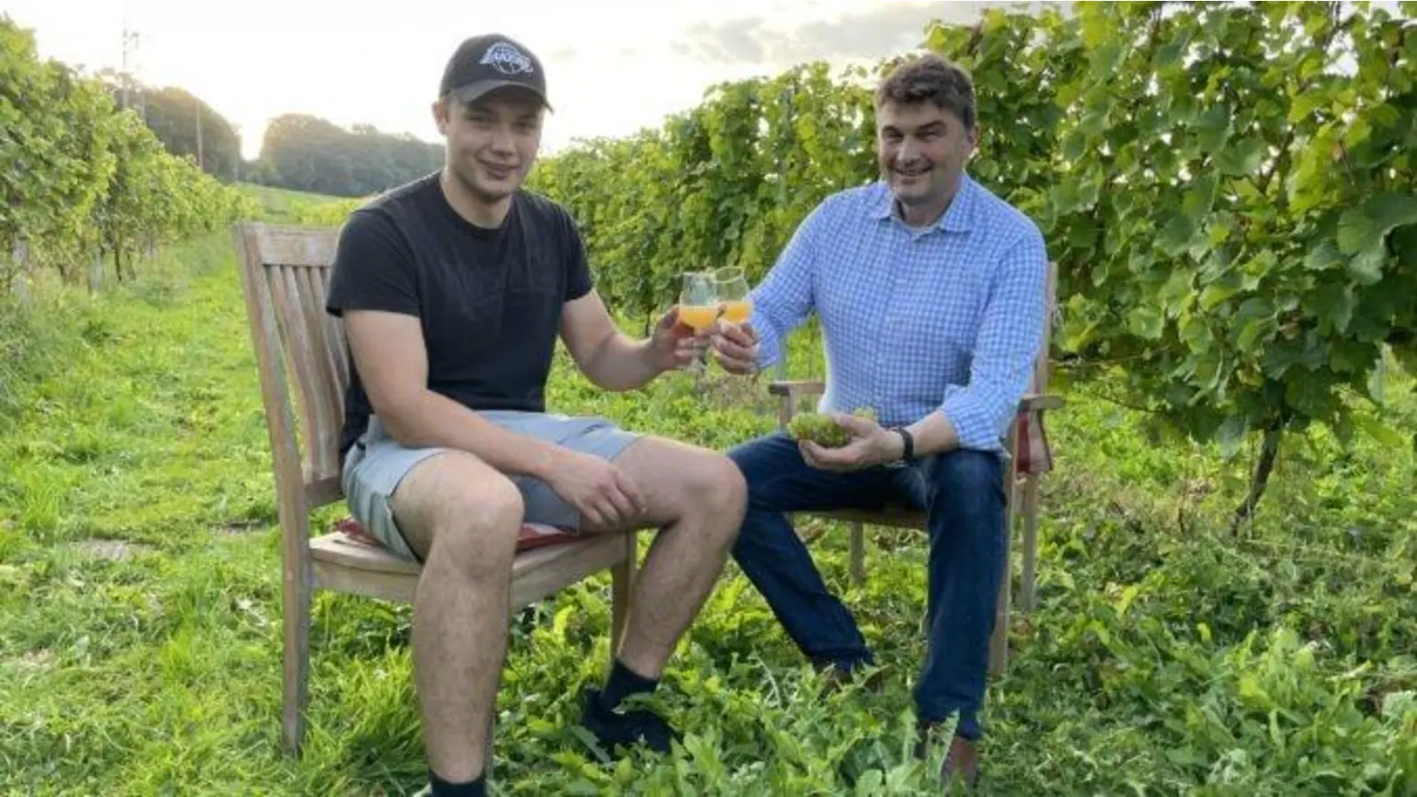 Die Weinlese hat begonnen (Foto: red)