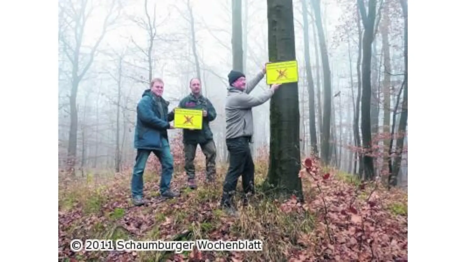 Mountainbiker gegen alte Naturdenkmäler (Foto: red)