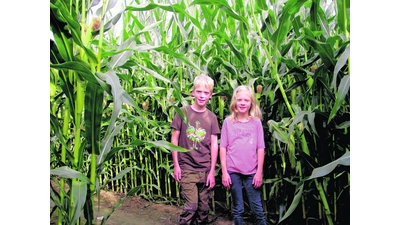 Immer der Nase nach - oder auf den Bauch hören? (Foto: gr)