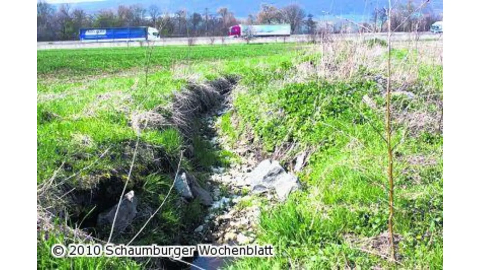 Gemeinde beantragt ökologisches Jahr (Foto: red)