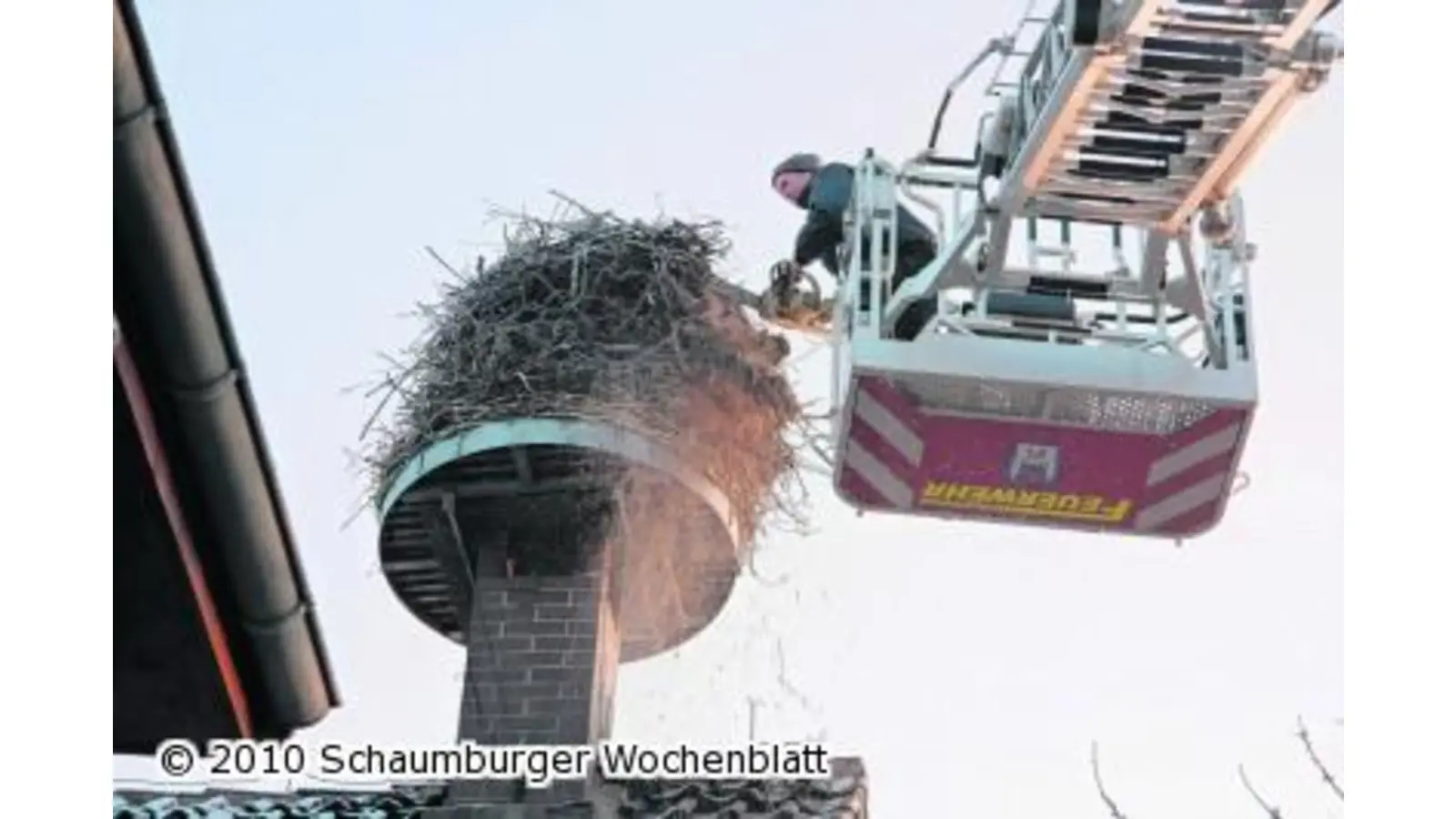 Storchennest um zwei Drittel der Größe gestutzt (Foto: gi)