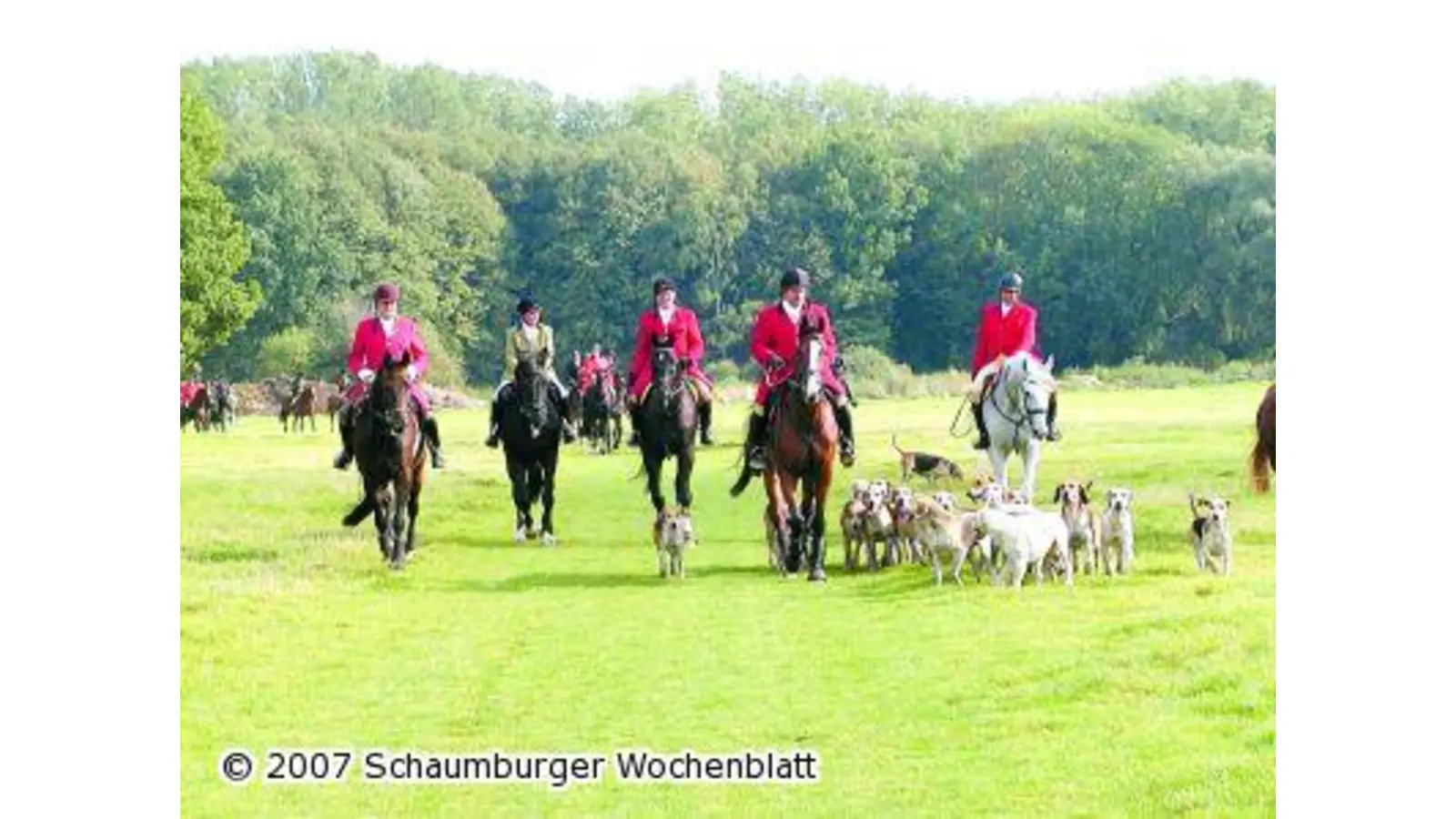 Hinter der Lipperlandmeute über Felder und Wiesen (Foto: hb)