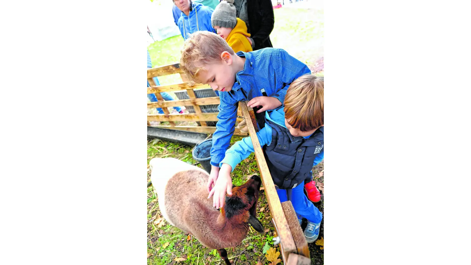 Der Herbst präsentiert sich wieder tierisch bunt (Foto: red)