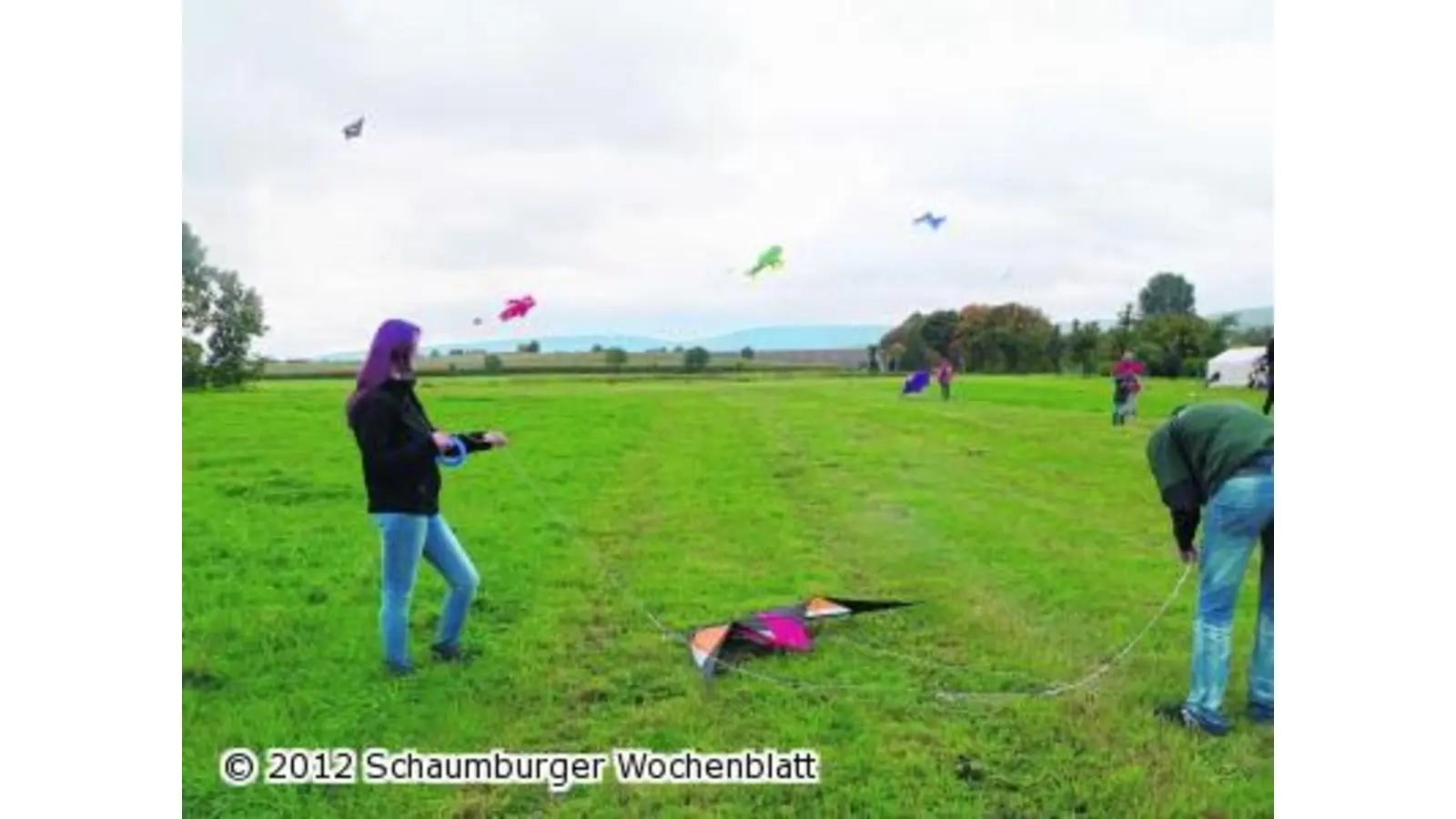 Ein roter Bär tanzt über der Wiese (Foto: al)