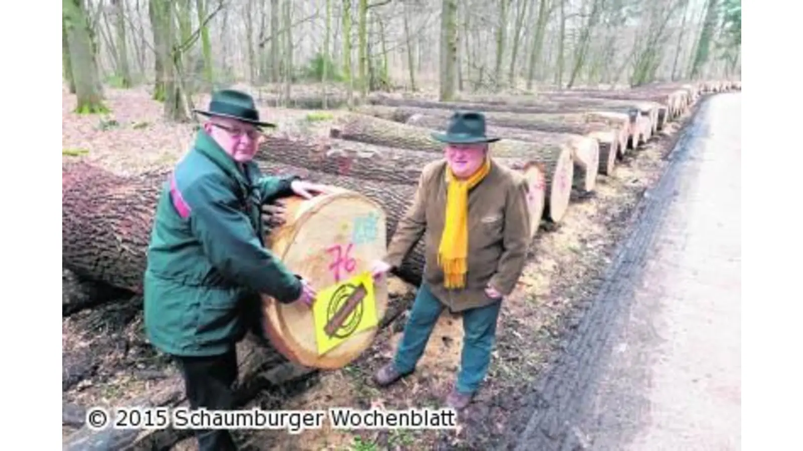 Aus den heimischen Wäldern in die Welt (Foto: mh)