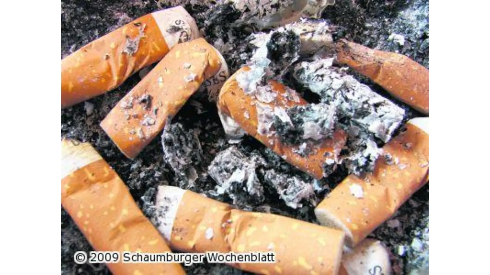 Im neuen Jahr wird alles besser (Foto: mk)