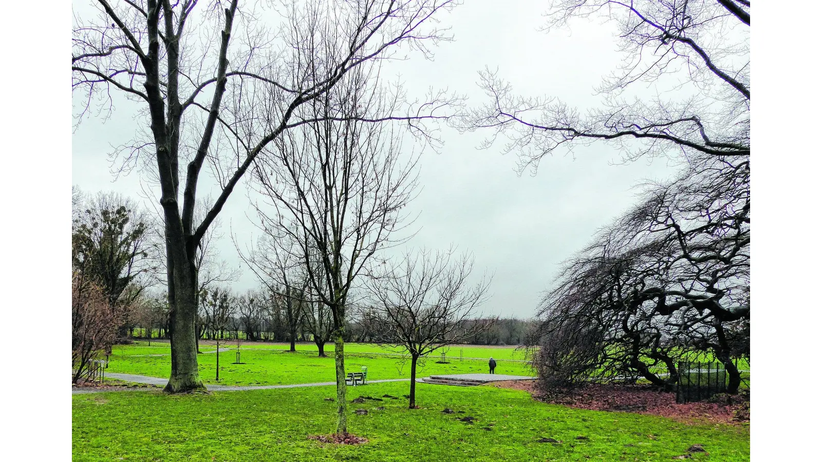 Mehr Grün in den Volkspark bringen (Foto: al)