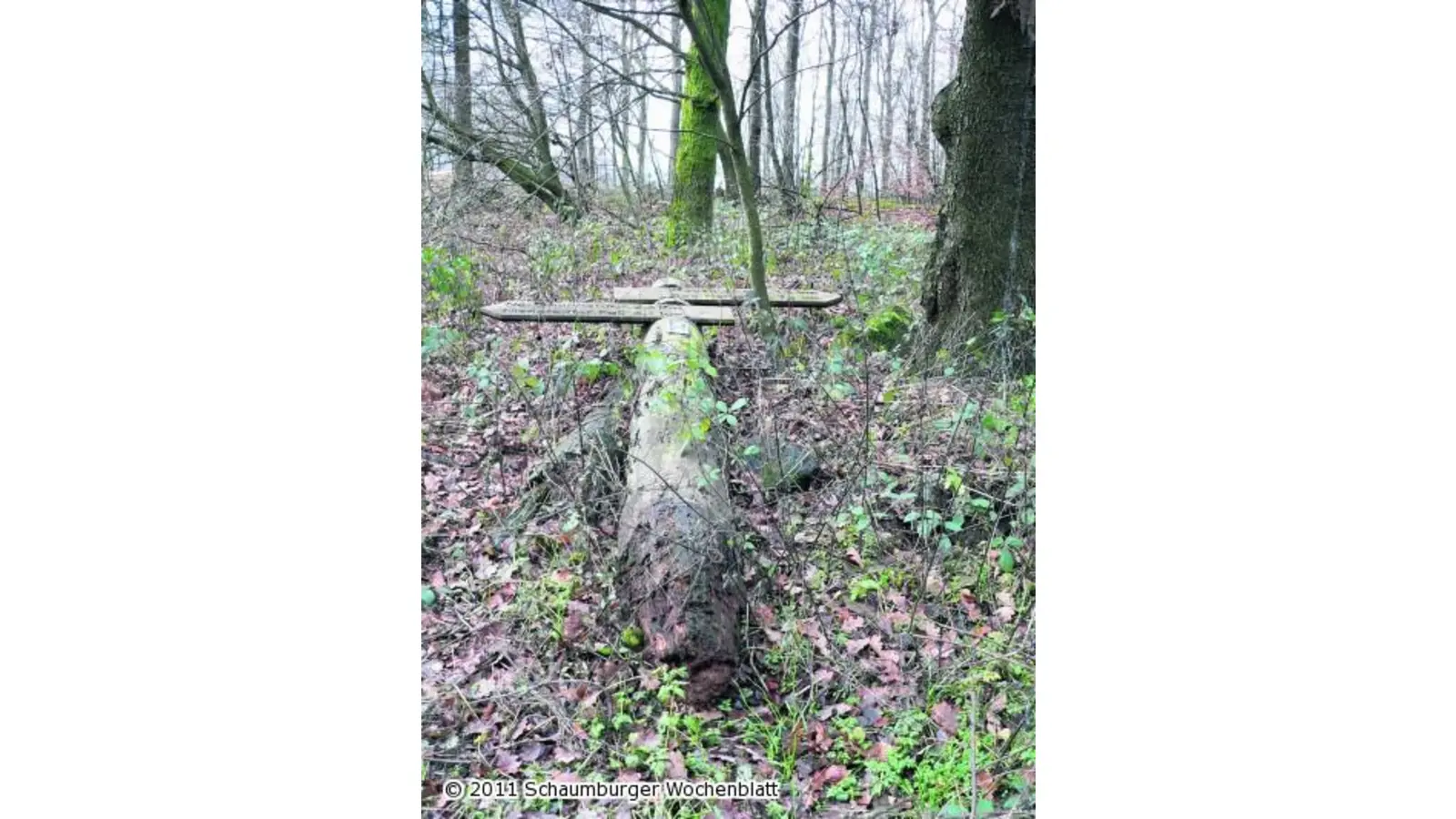 Endlich Ersatz für alte Schilder (Foto: al)