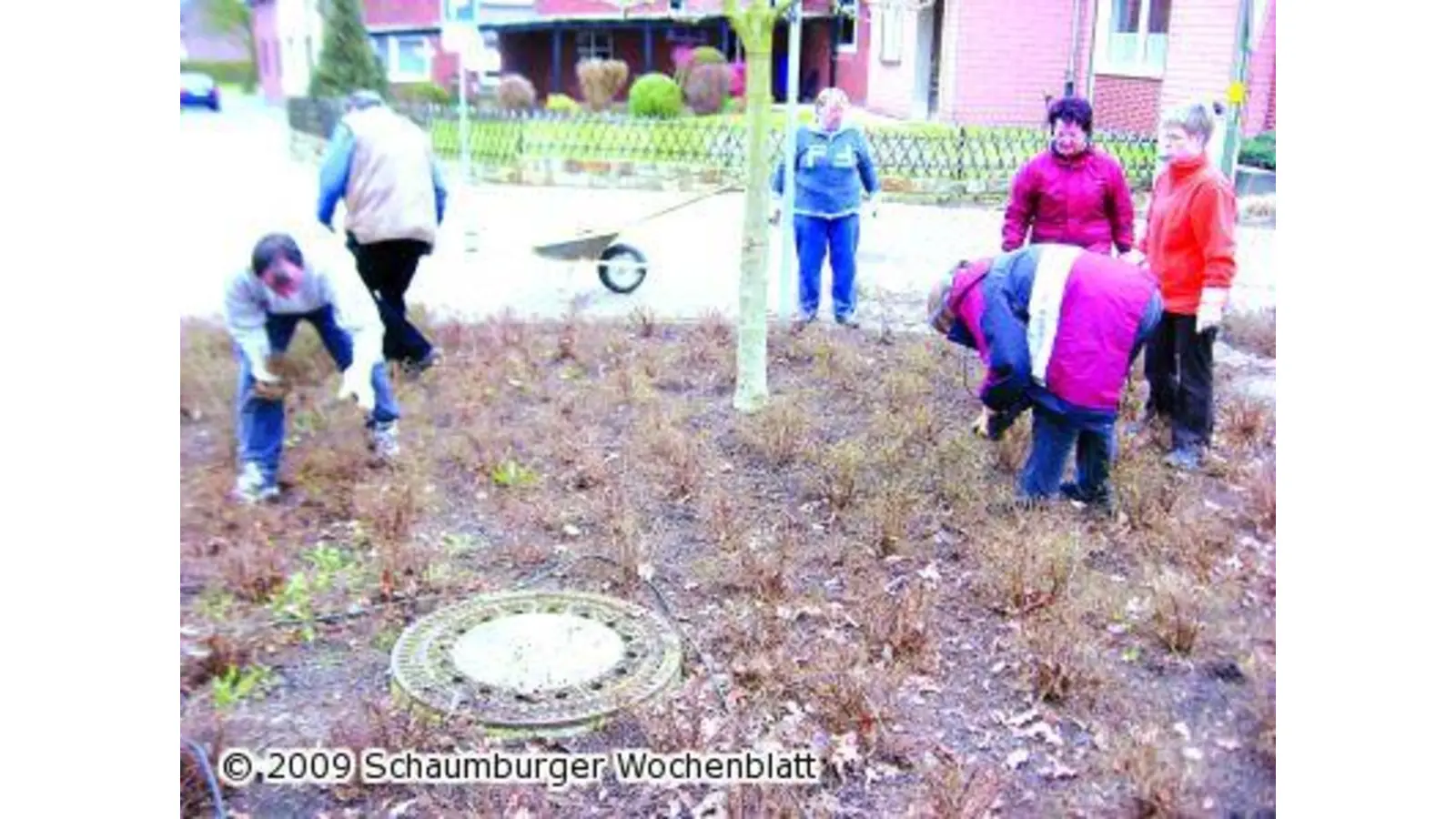 Hohnhorst macht Frühjahrsputz (Foto: mk)