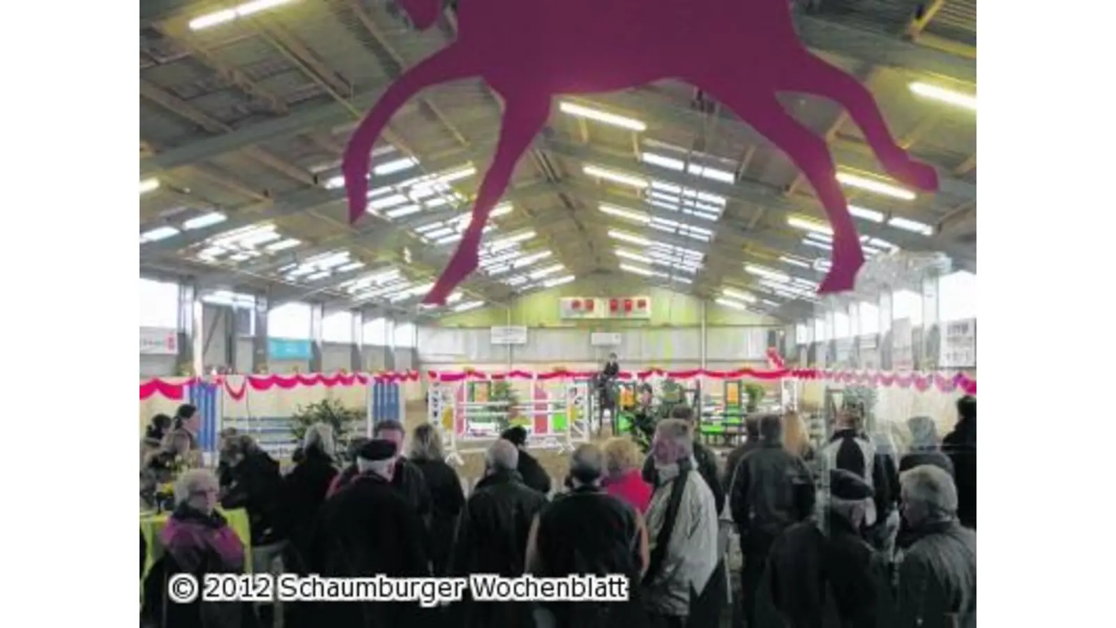 700 Starts beim Start in die Hallenturniere (Foto: red)