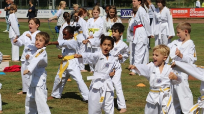 Starker Auftritt: Die Taekwondo-Sparte.  (Foto: gi)