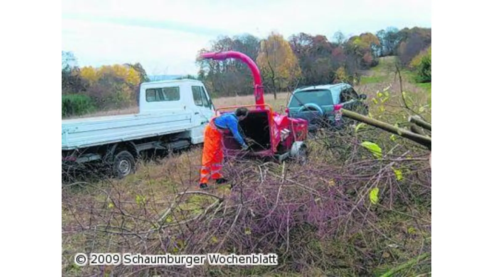 Kurzhaarfrisur für Hecken (Foto: ste)