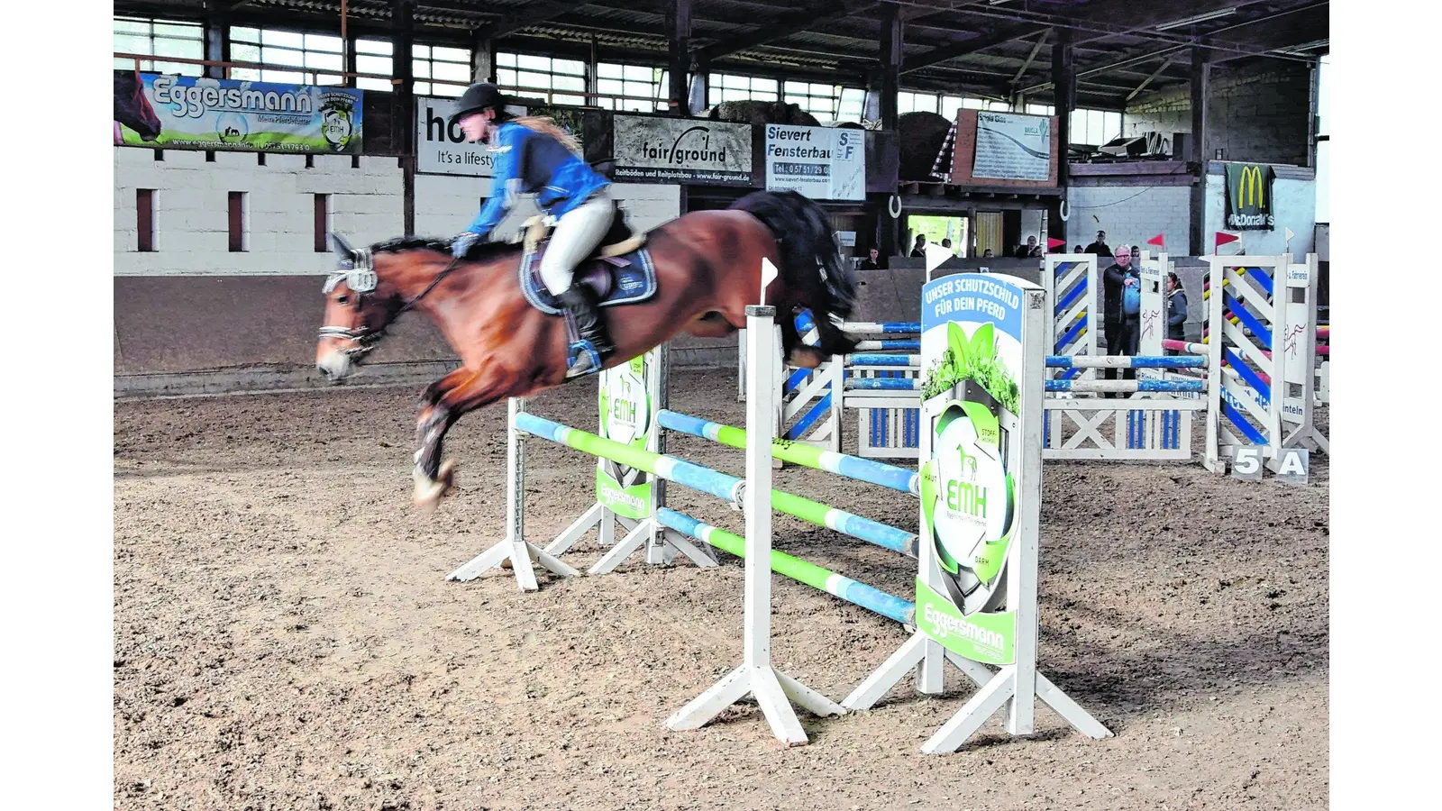 Zwei Tage volles Programm auf der Reitanlage (Foto: red)