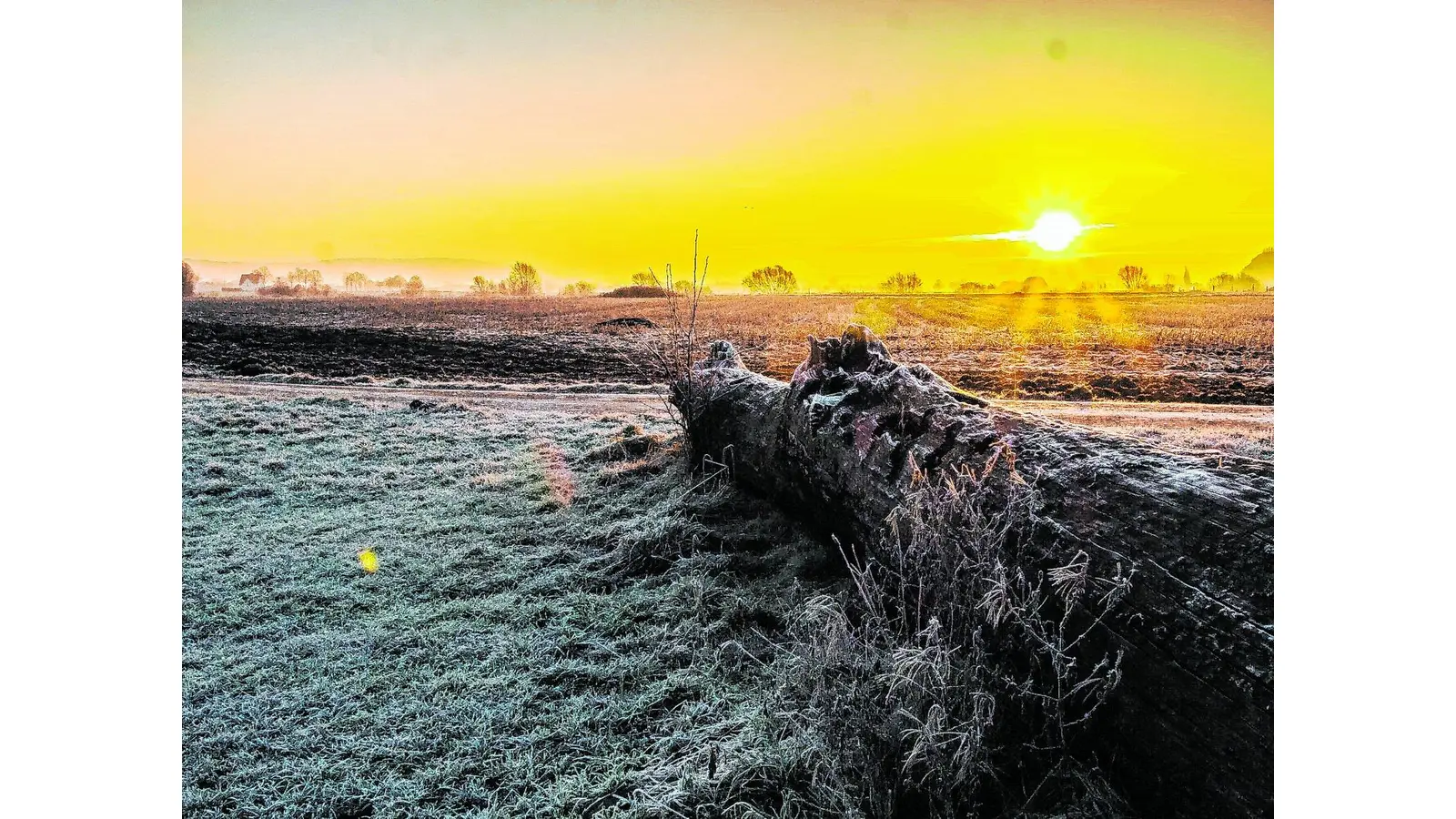 Was der christliche Glaube zur aktuellen Problematik mit der Umwelt zu sagen hat (Foto: ste)