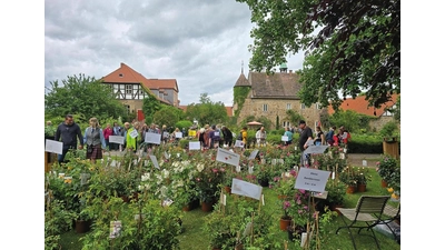 Vom 23. Mai bis 25. Mai findet auf dem Rittergut Remeringhausen das „British Weekend” statt.  (Foto: Pietsch)