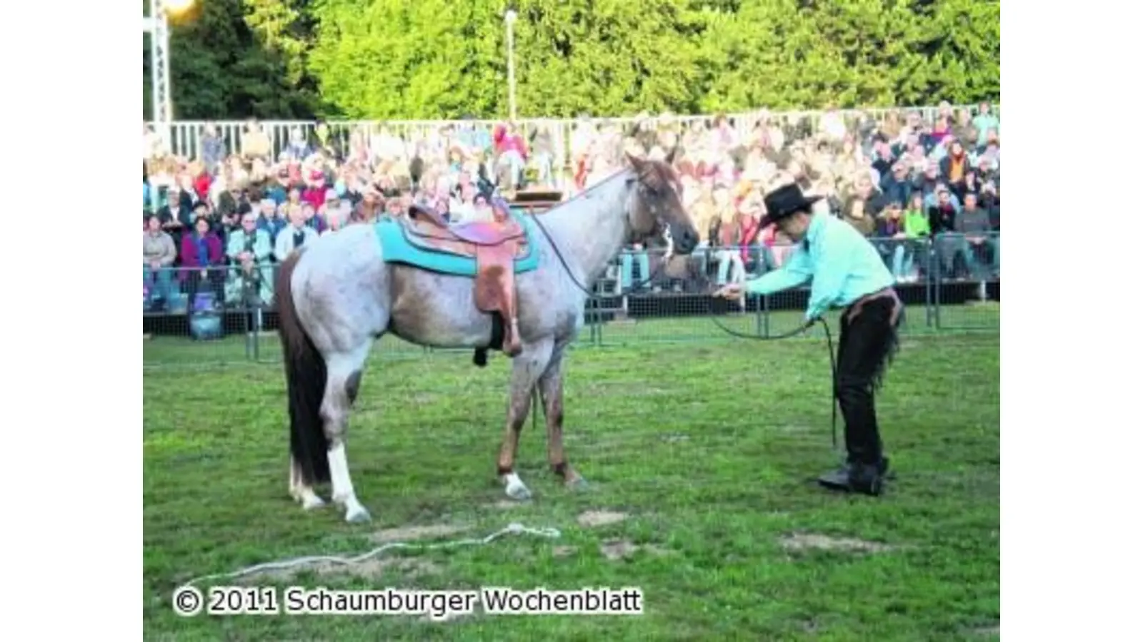 Heute beginnt die lange Sommernacht der Pferde (Foto: red)